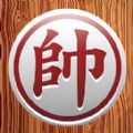 越发多见的中国球迷冲突，何时降温？
