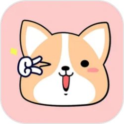 Pokemon Center TAIPEI限制产品太搶手，台灣版快龍、胖丁售罄